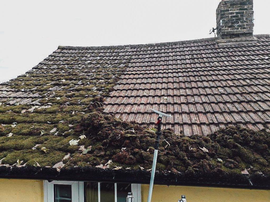 Professional roof cleaning soft-wash on tiled roof